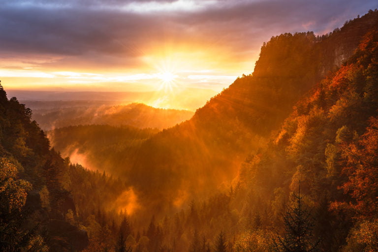 Image by Artem Sapegin from Unsplash