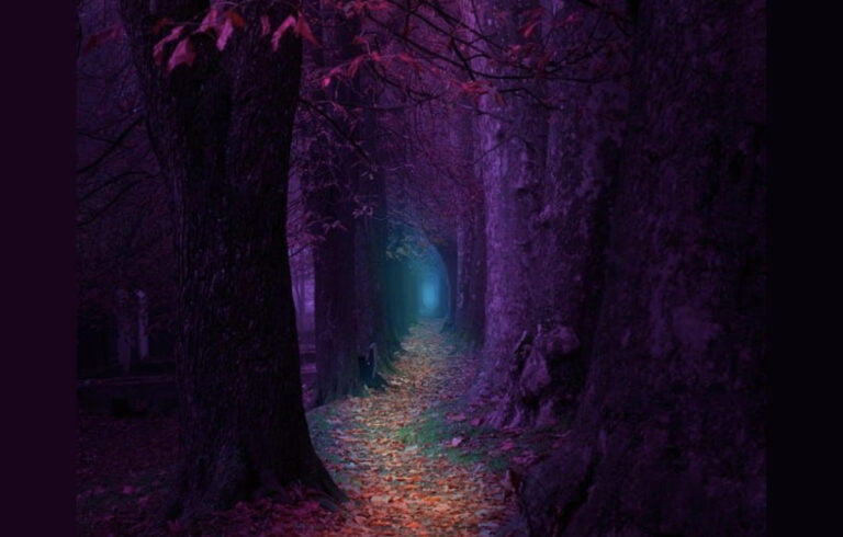 Image of a forest path, at the end is a portal: Art by Mevludin Sejmenovic
