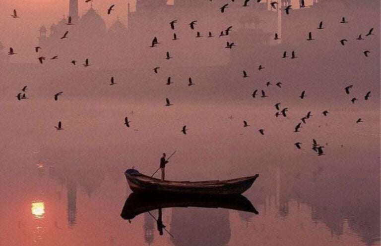 Photo by Robert Jahns of birds flying over a lone boatman on a still river at sunrise with minarets in the background.